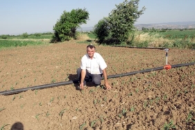 YÖREM MANŞET son