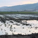 CHP ekibi hasar tespiti yaptı