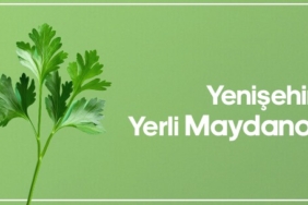 maydanoz görseli