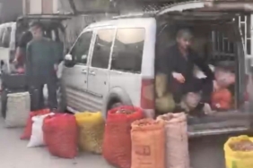 ceviz pazarı 1
