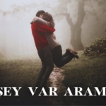 Haftanın Şiiri Nahit Ulvi Akgün’den