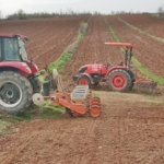 Çiftçiler Sezona Ayçiçeği İle Başladı