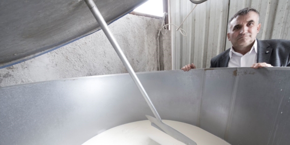 Süte Yapılan Zam Üreticiyi Memnun Etmedi