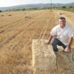 Samanın kilosu 3,5 lira