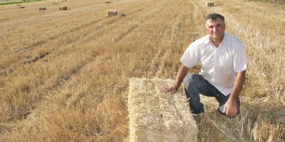 Samanın kilosu 3,5 lira