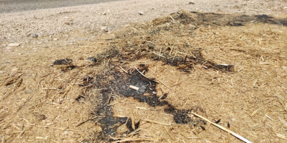 Vatandaşın ihbarı Felaketi Önledi