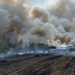 İşte Yenişehir’de Yangın Faturası…