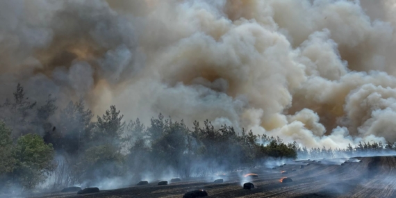 İşte Yenişehir’de Yangın Faturası…