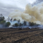 Son dakika! Yenişehir’de yangın…