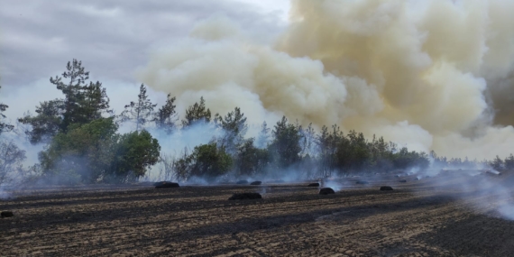 Son dakika! Yenişehir’de yangın…