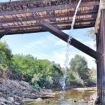 Yavru Balıklara Can Suyu