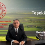 572228555_10162929920684029_8410729585505553643_n