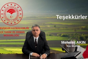 572228555_10162929920684029_8410729585505553643_n