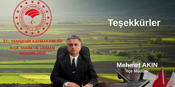 Mehmet Akın Asaleten Atandı