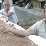 Yenişehir’de Hububat Rekoltesi Arttı.